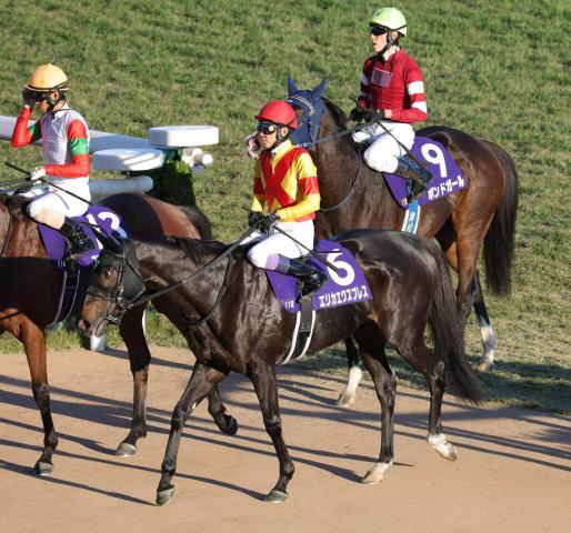 ڥꥶ٥աֵۡΥĹΤʡ˭3Хꥫץ쥹12