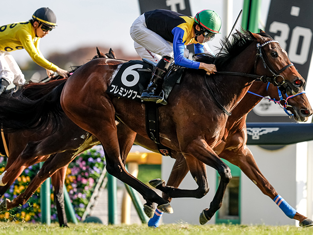 ڥ桼ȥԥS졼女ȡۥեߥ󥰥ա׿͵