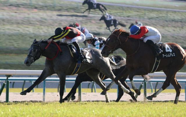 ڲƾޡۥΥ顼ڤäϢ»աַŪ˵ΥФƤ⤤