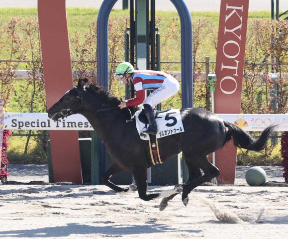 ڵԿۥ륫ȥ롡ǽVCǥࡼǽϤϤ