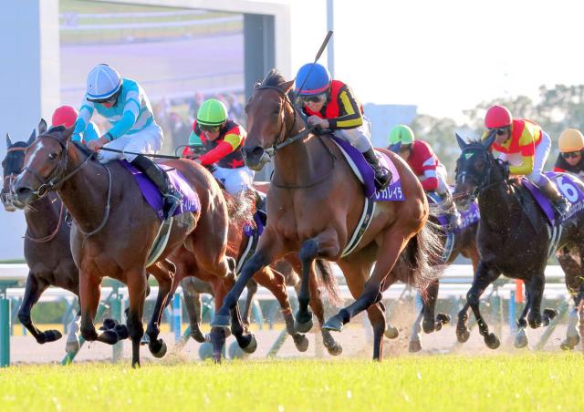 ڥꥶ٥ա졼ۥǡ졼󥰽ͭϤ4Ϣơ¿Ͽ򹹿6