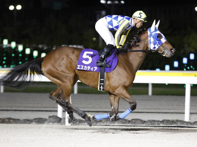 【川崎・ロジータ記念】トライアルを制したエスカティアは6枠9番