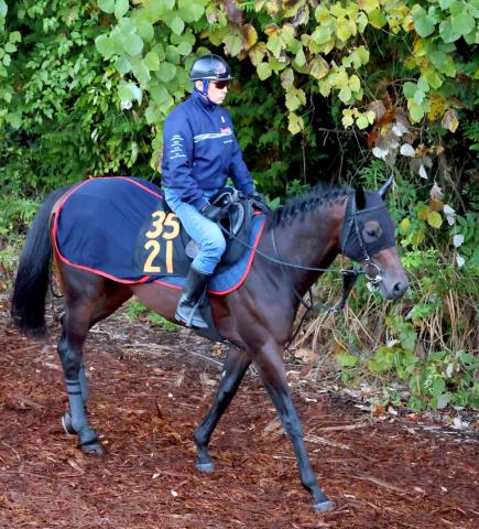【東京スポーツ杯2歳S・イシゴーの特注馬】全兄が重賞馬のパントルナイーフは真価が問われる一戦