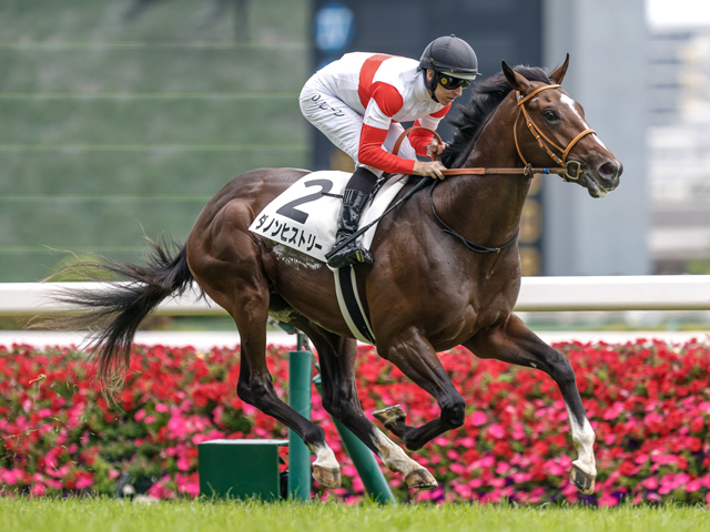 【東スポ杯2歳S見どころ】器大きいダノンヒストリー