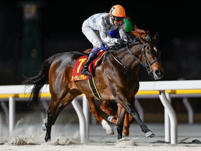 轵JRAϡۥȽž3Υꥶȡ22ǰΥեƥեˤʤ