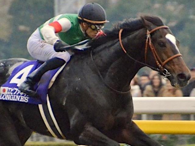 2Х꡼ǥ󥰤 ڥС̥ԥեͥΰ