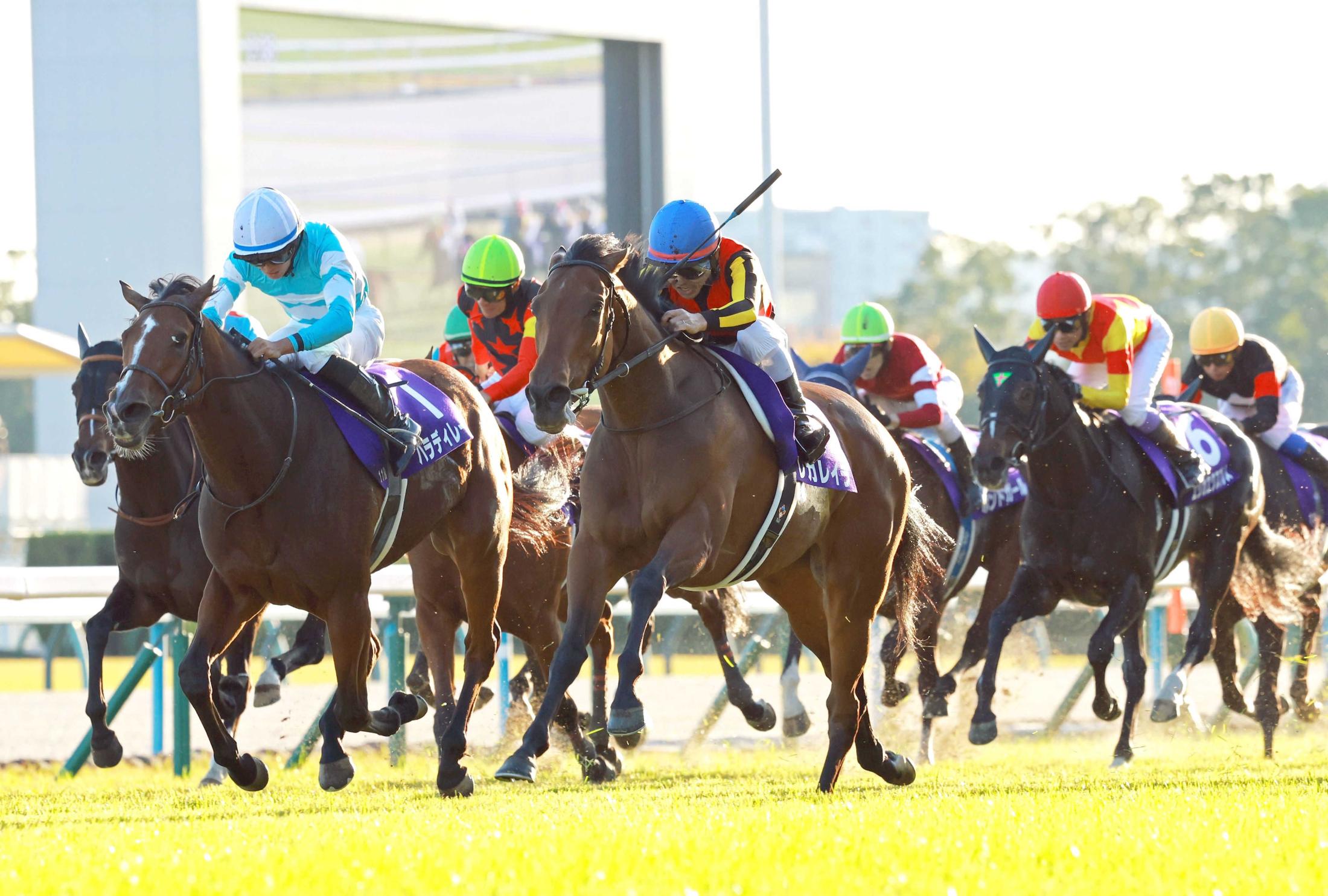 ̦ĴաӤλ̤Ĺ줿쥬쥤顡ꥶ٥