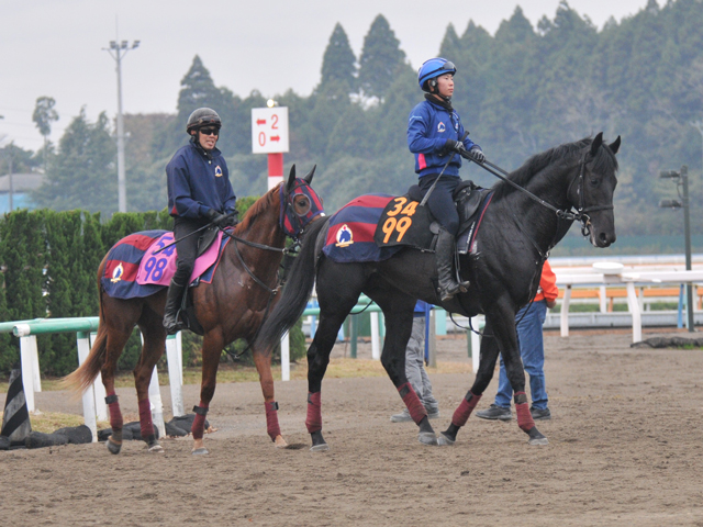 近親に米G1馬がいるノーブルサヴェージ 森一師「いい脚を長く使えそう」/関東馬メイクデビュー情報