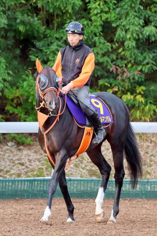 【マイルCS】ジャンタルマンタルの高野調教師「前走と全然違うと思っている」　偉業達成へ申し分ない仕上がり