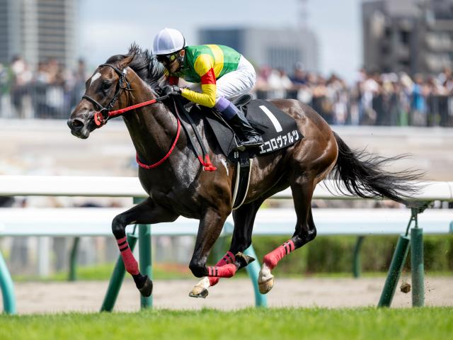 【福島記念展望】データが後押し、4歳馬エコロヴァルツが中心