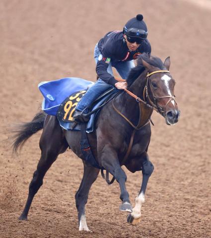 【東京スポーツ杯2歳S】レーン騎手&堀厩舎の“黄金コンビ”で今週はダノンヒストリーが重賞Vへ　秘める素質は断然