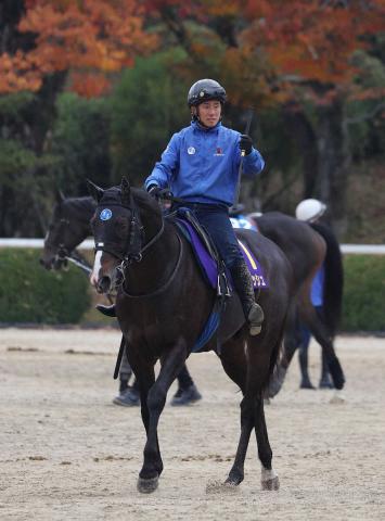 【マイルCS】ソウルラッシュ　待望の京都替わり　連覇へ「順調」