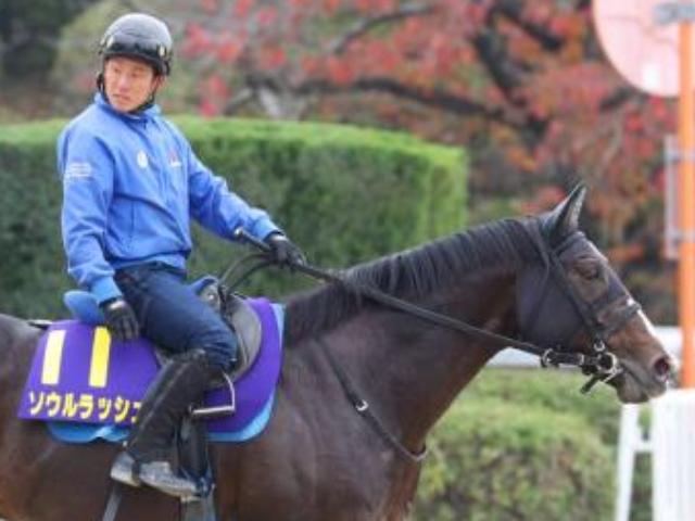 ڥޥCSۻ˾7ƬܤϢܻؤå乥ξ֡ӹĴա֤ޤǥɥХդκǸΤ褦