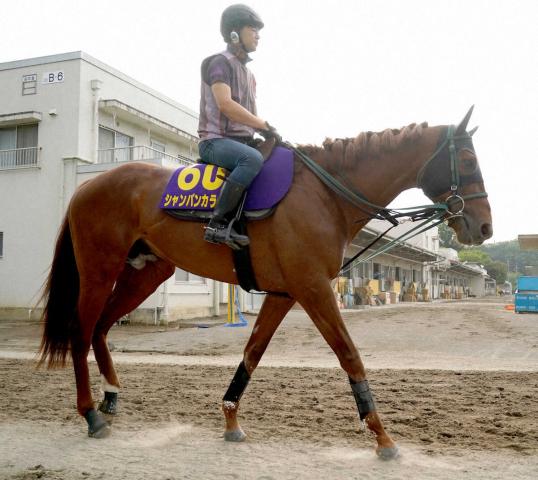 【マイルCS】23年NHKマイルC覇者シャンパンカラーが繰り上がり　エコロヴァルツが回避…福島記念へ