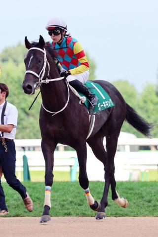 【注目馬動向】札幌2歳S2着のジーネキングはホープフルSへ直行　引き続き斎藤新騎手とのコンビで