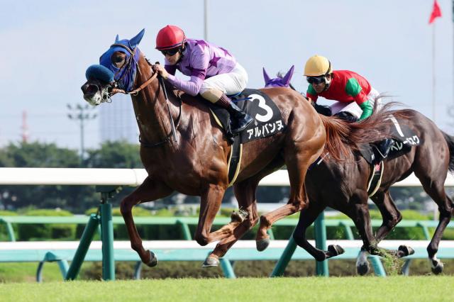 【注目馬動向】2連勝でサフラン賞を制したアルバンヌは阪神JFで坂井瑠星騎手と新コンビ