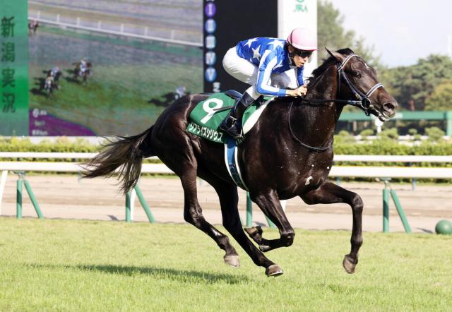 【注目馬動向】デビュー2連勝で新潟2歳Sを制したリアライズシリウスは朝日杯FSへ