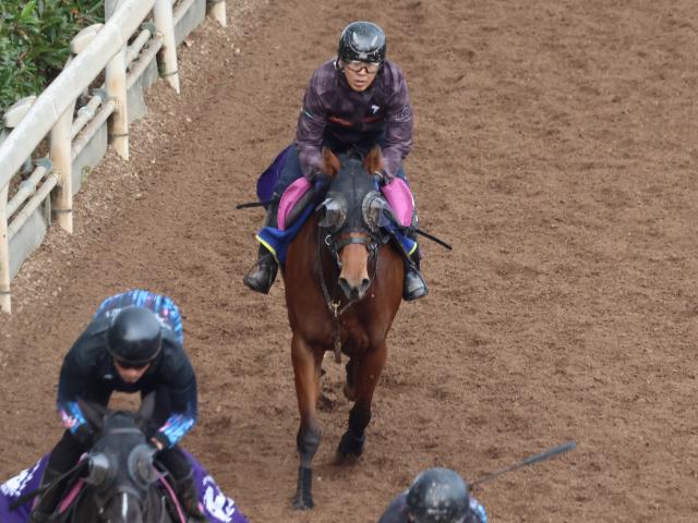 アンティフォナの2023(ラミアスペランツァ)など、先週の入厩情報/栗東トレセンニュース