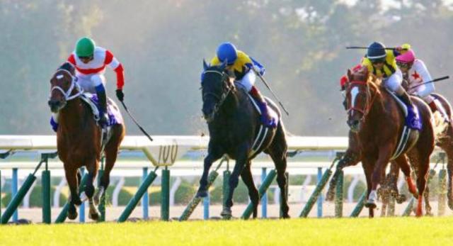 「最悪や」完璧なレース運び→5センチ差の惜敗!勝ち馬は「よりによって…」マイルCS過去の名レース