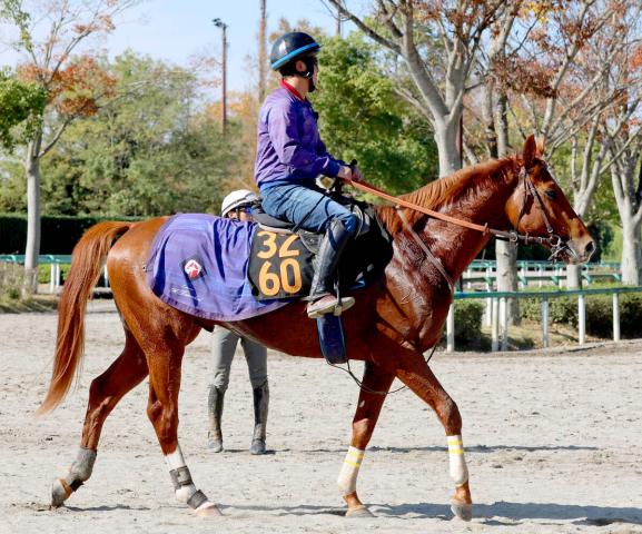 ݡ2S5Ⱦε٤쥸ϵޥԥåĴĴա֤1֤ѤȤĤäơ