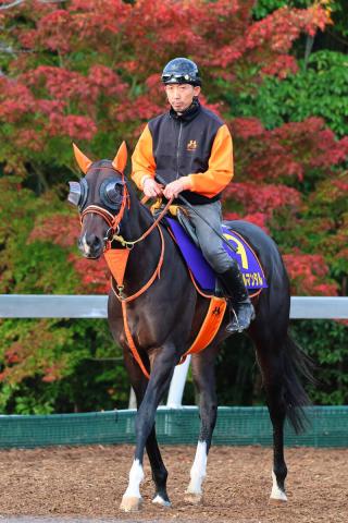 ڥޥCSĶ֥ǥǡԡVϥ󥿥ޥ󥿥ΰ!!