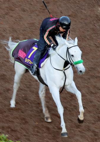 ڥޥCSۥꥭåװΰVٻSƼԥե˿Ĵդϡ乥Ĵפȼ