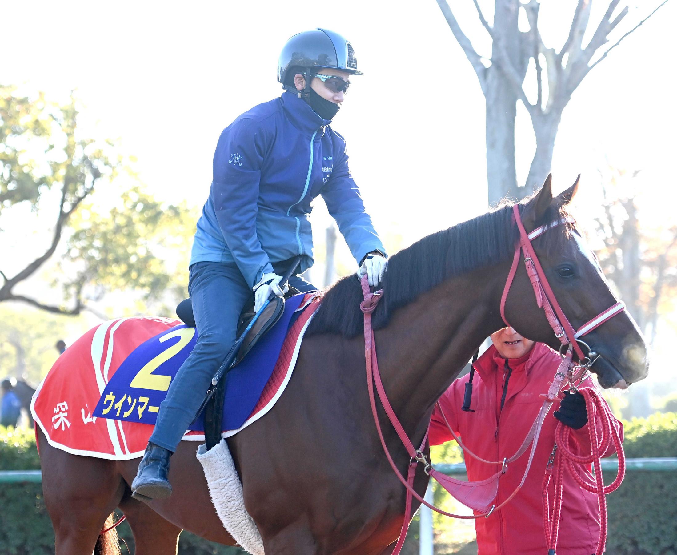 【マイルＣＳ】ウインマーベル今度こそ悲願成就　Ｇ１・７度挑戦で２着が最高、２年連続で実力馬が初制覇の秋マイル王決定戦