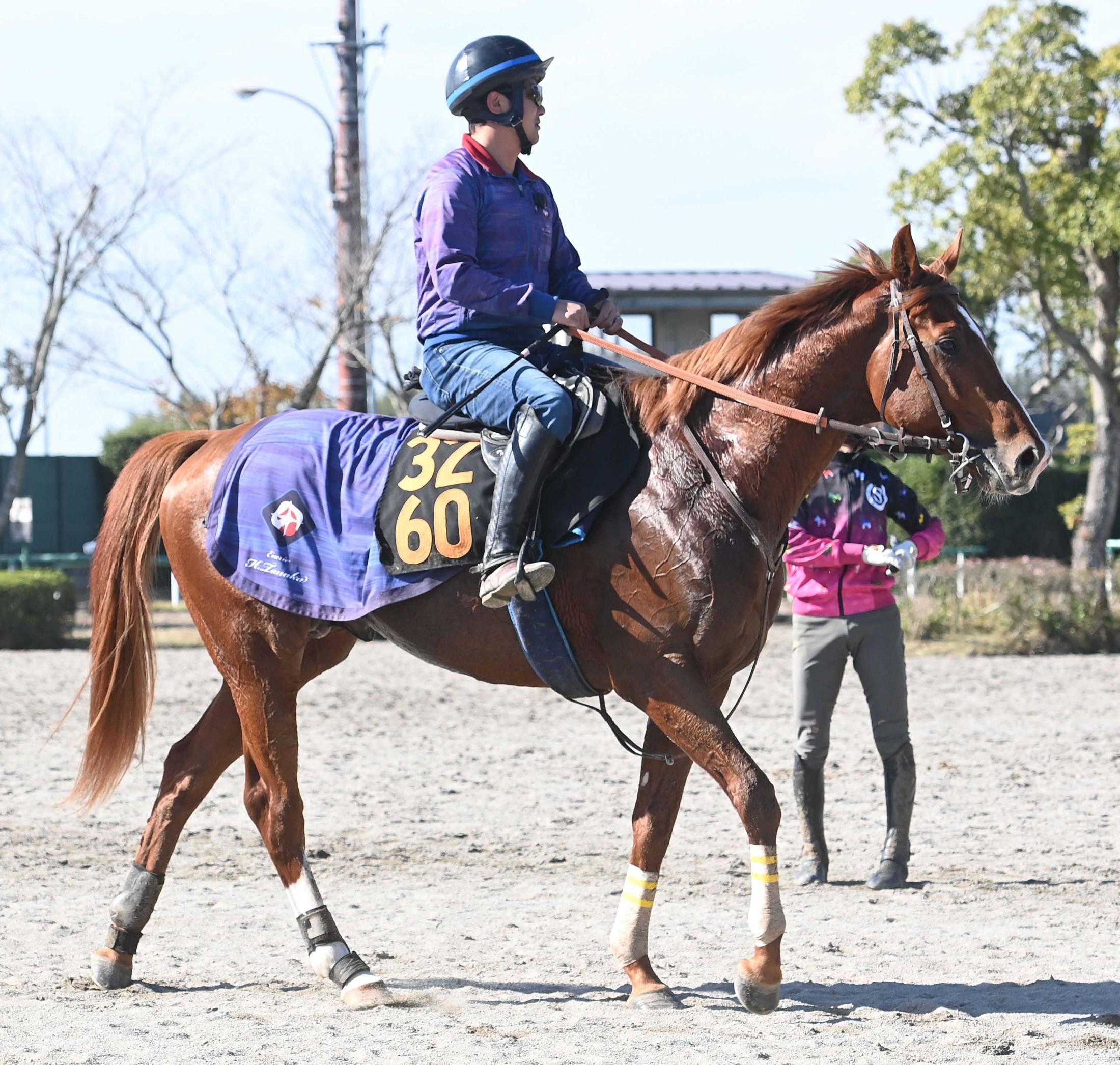 쥹գУӡۥ쥸Ǽ롪  ϣǯͭϵǰΥ饭Ⱦǯ֤صޥԥåĴ