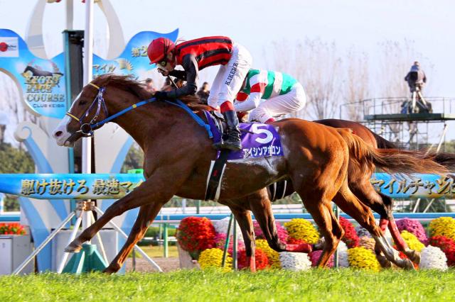 【マイルCS・記録メモ〈2〉】過去出走の外国馬は2009年、2011年のサプレザの3着が最高　ドックランズはデータ的に厳しいか