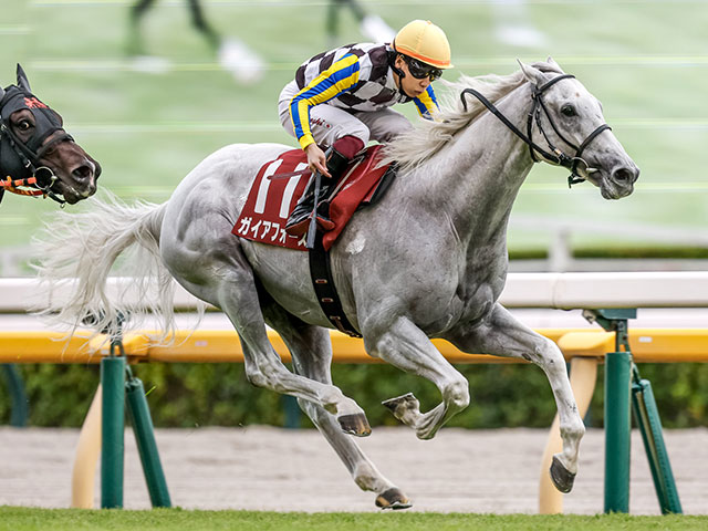 ڥޥCS21Ƭι̣̾̾Ҳ𡪡Ͽϡ١Ĵ٤Ϥɤϡ