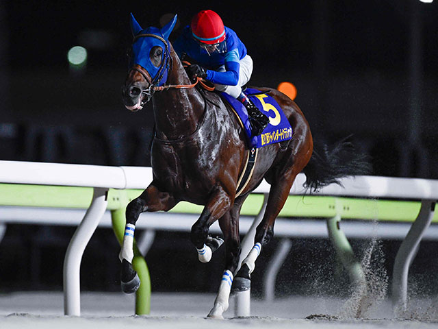 ڥԥCۥʥ륫ߤ֥ϡȥܥɤʤ20Ƭ