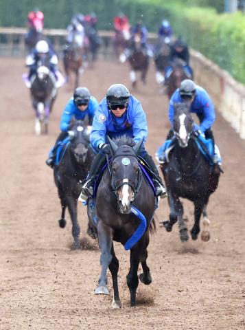 ڥޥCSۥå夬ϢƸ罽ʬκǽǥ⡡ӹĴա֥ǥϵǯѤʤ