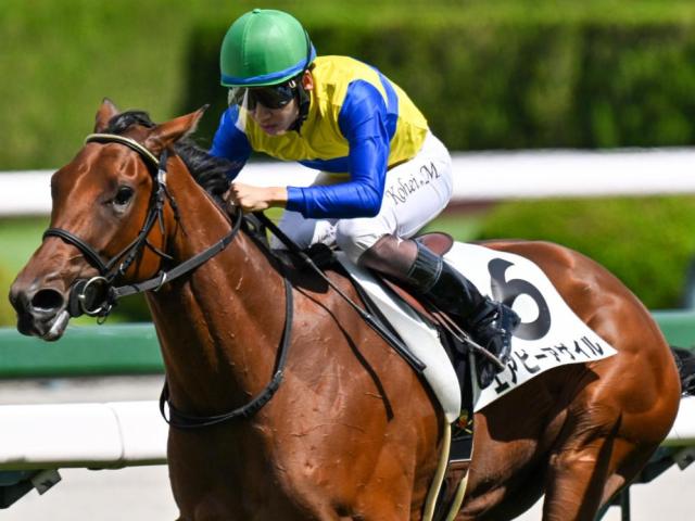 ȾϢƤΥ٥饸ڥ ӡ뤬龡ʤ뤫