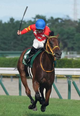 ǯ㵭ǰV祯ĺǯξSƥե󥰤