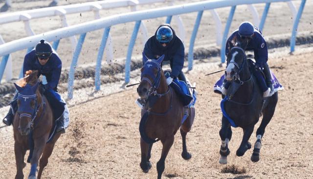 ڥѥC1ɤۥޥ졼ɥܡž夬塹W϶ӤФ