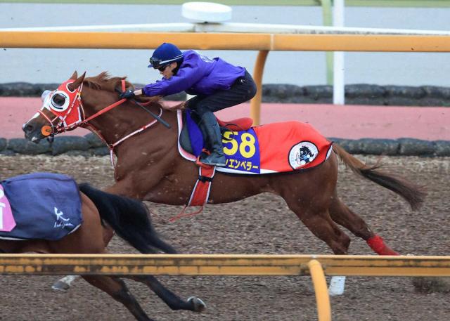 ڥѥC1ɤۥ󥨥ڥ顼1F114ιסաưΤϤ