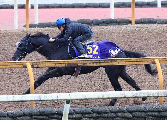 ڥѥC1ɤۥǥΡ롡ѤȤ˴ԡ¼֥ͧХ󥹤äƤĤĤ