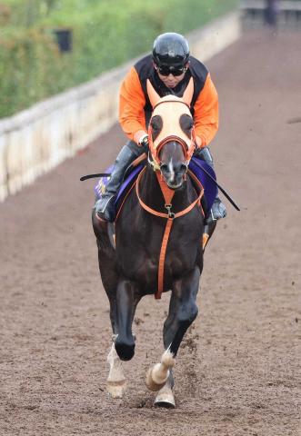 ڥޥCSۥ󥿥ޥ󥿥ͳ̾ɤž夲!աְζȤãƤ