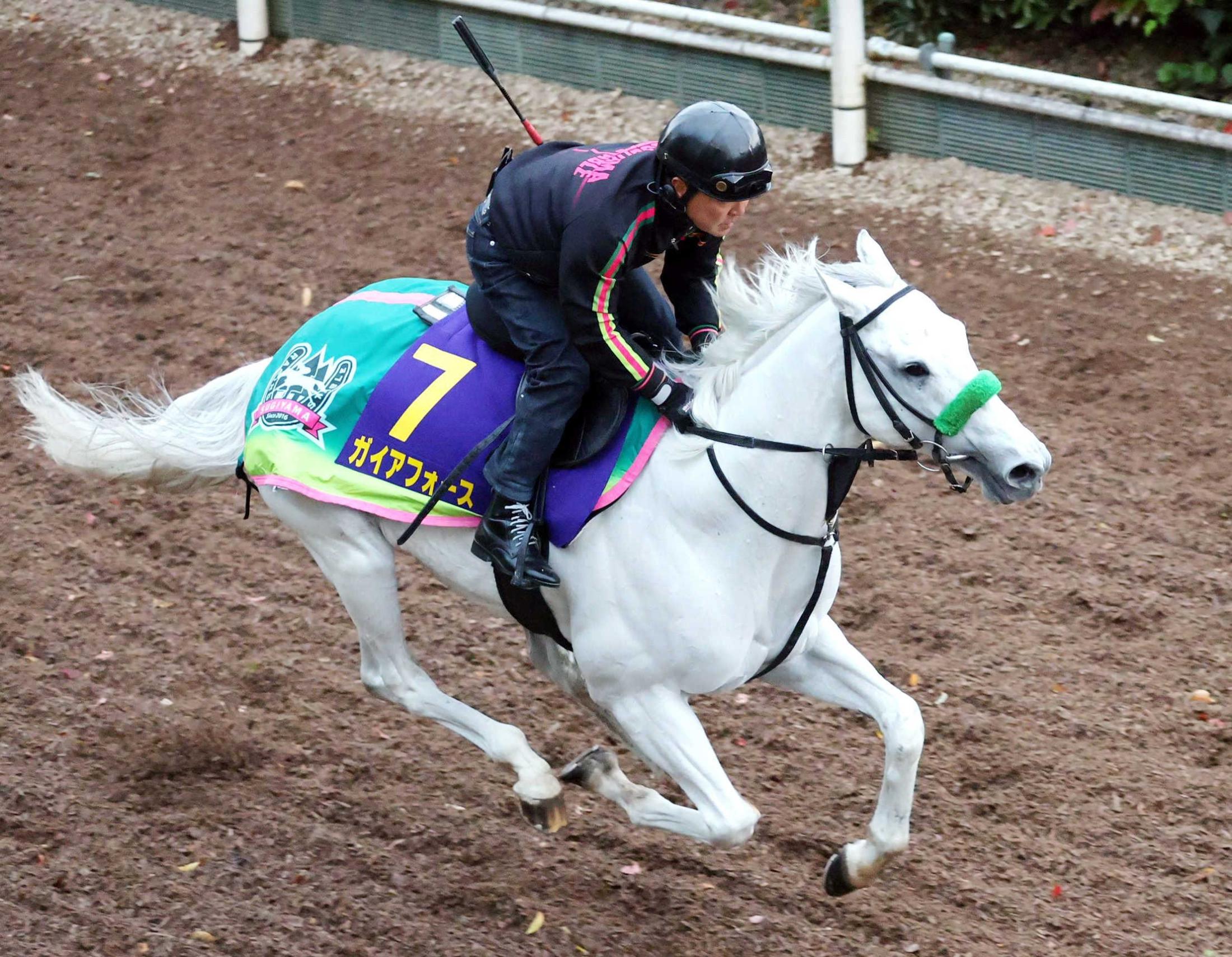 ڥޥãӡۥե϶ӼꡡΣǣƤաֵԤγϴְ㤤ʤ礦