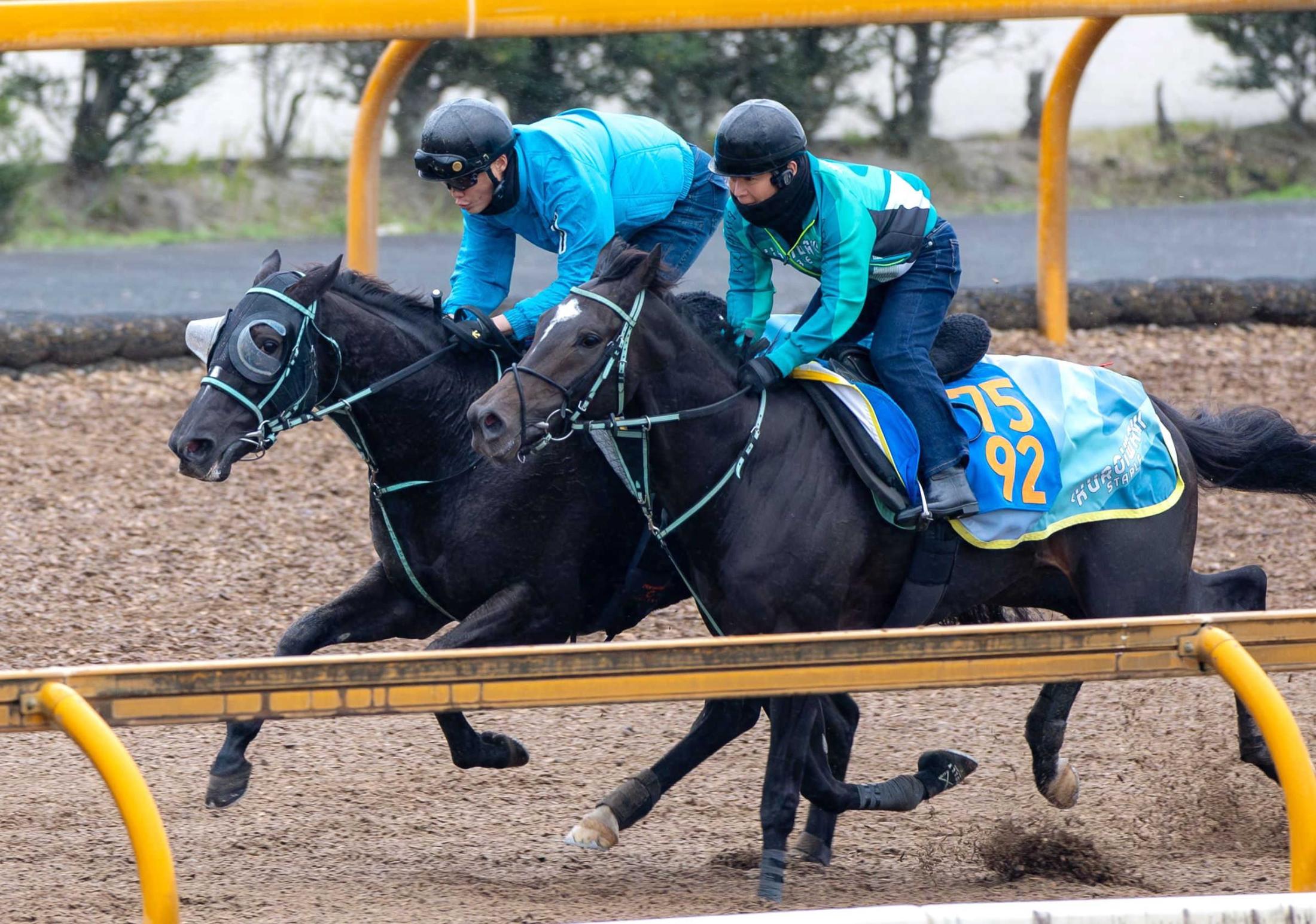 【マイルＣＳ】アスコリピチェーノ　万全の仕上げ　動きは文句なし　黒岩師もご満悦「今回は回復が良好」