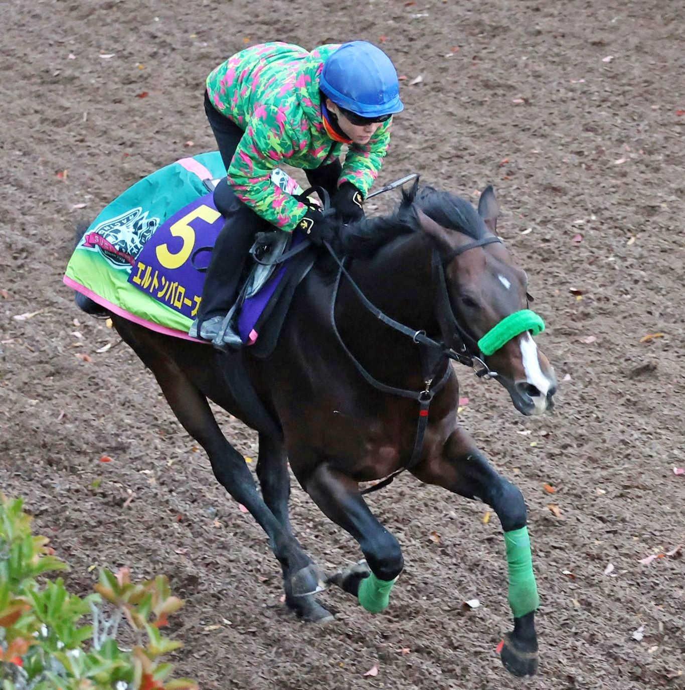 ڥޥãӡۥȥХ˹ƾ徺ۡա֤֤ιϤƤС