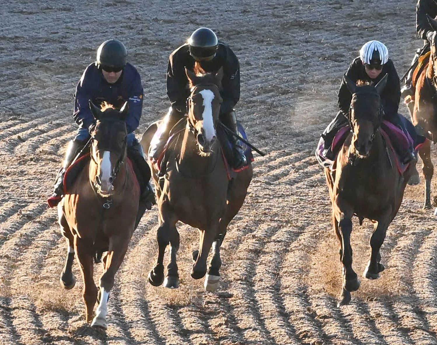 ڥޥãӡۥ˥ؼꡡ¼աֱ˰ݤȤʤäơפ