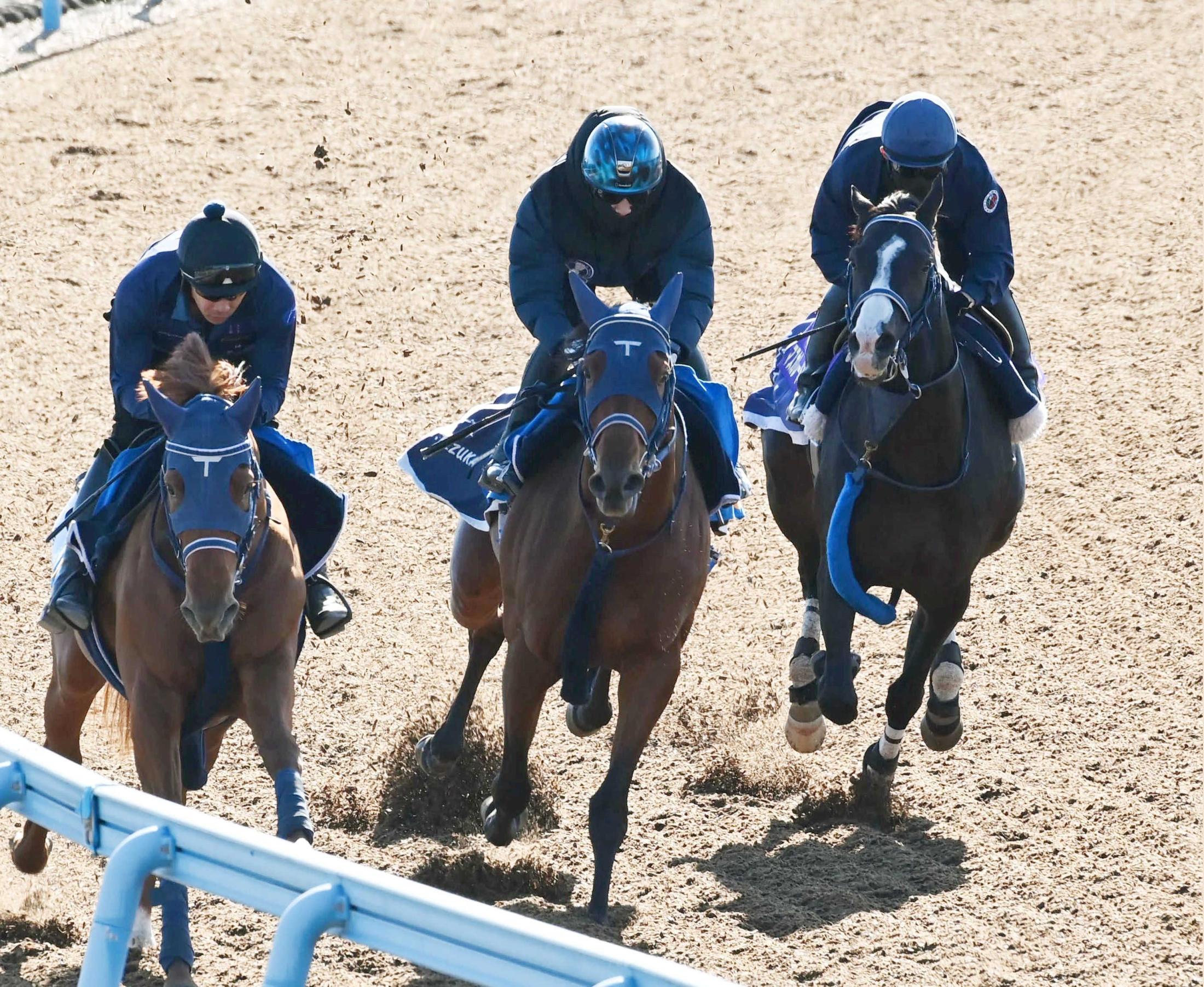 【ジャパンＣ】マスカレードボール　内容に及第点　しまいの反応上々　手塚久師「肉体的な上積みはある」