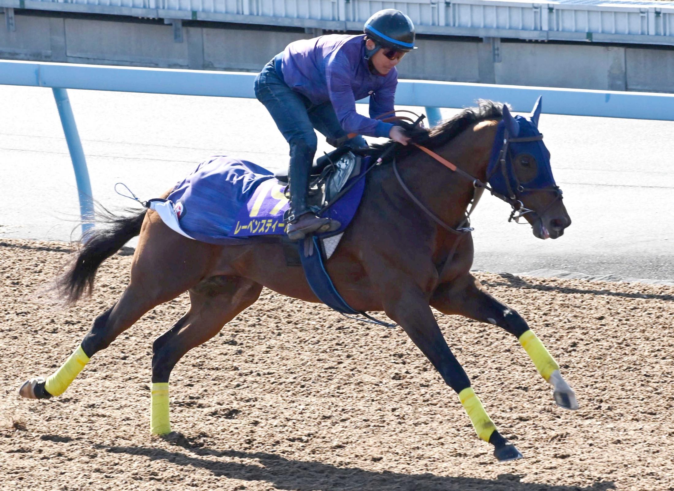 ڥޥãӡۥ졼٥󥹥ƥ롡ưꡡա½ʤʾνפ᤽