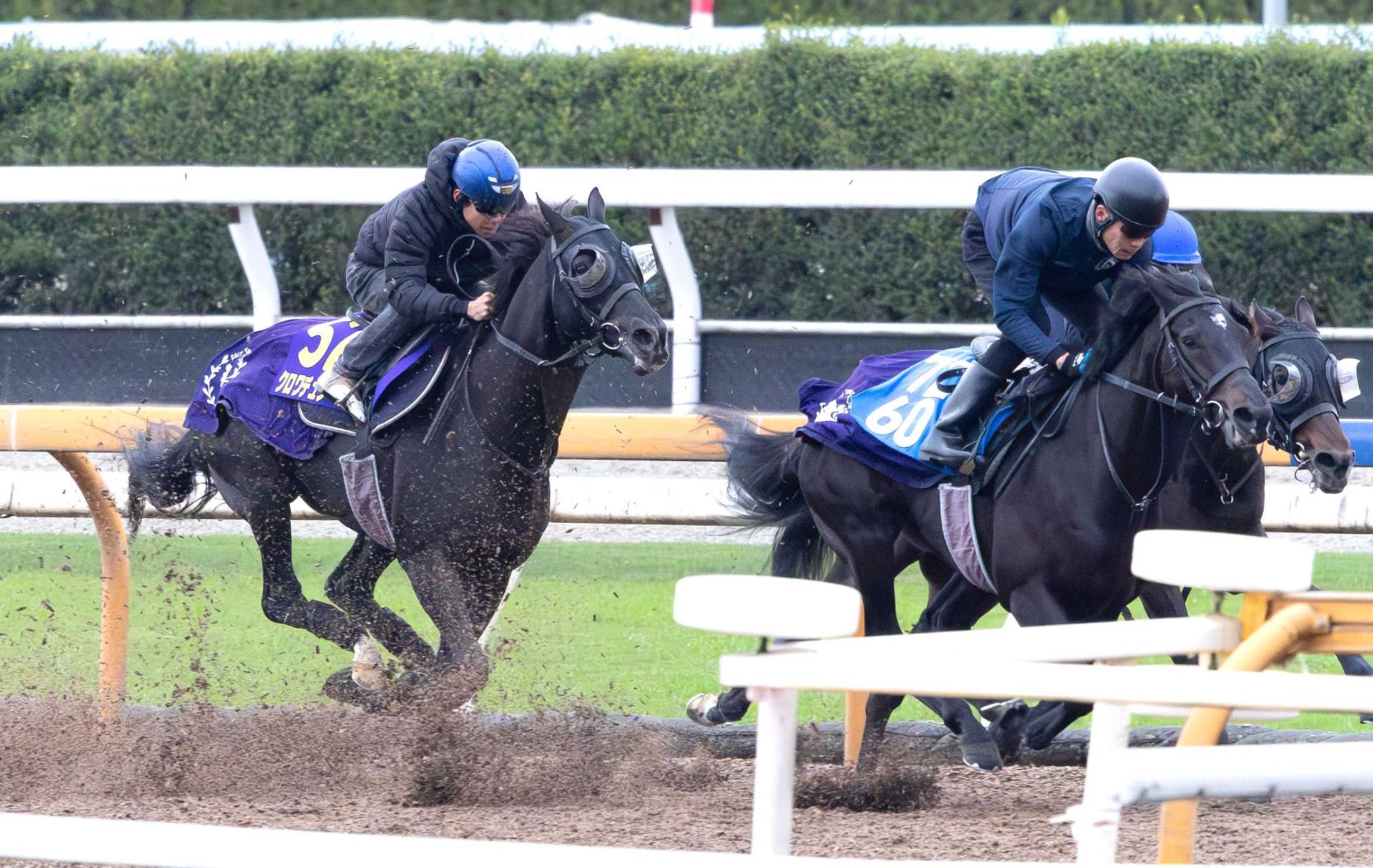 【ジャパンＣ】クロワデュノール　まだ良化途上　出走は来週まで持ち越し　斉藤崇師「この追い切りでどこまで上がってくるか」
