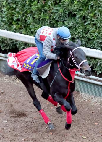 【マイルCS】ラヴァンダが栗東・坂路の一番時計　力要す馬場で50秒5　中村調教師「やればいくらでも出るタイプ」