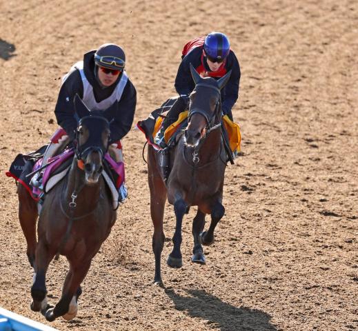 【福島記念】持ったままの馬なりで楽々と併入したニシノティアモが絶好の仕上がり　上原佑調教師「狙い通り」
