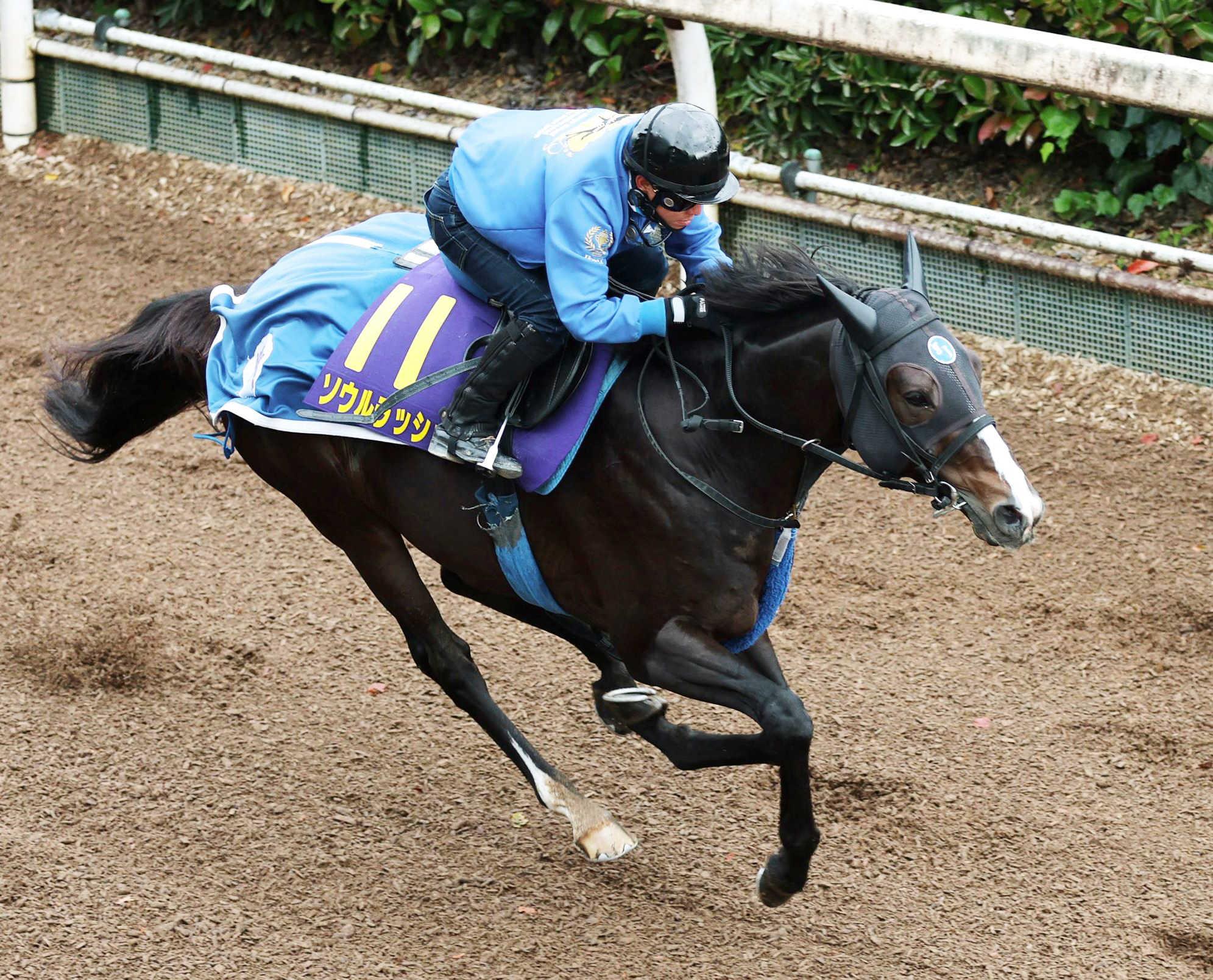 ڥޥãӡۥå塡սνиäѤϢƤؽüӹաֲʤĴ