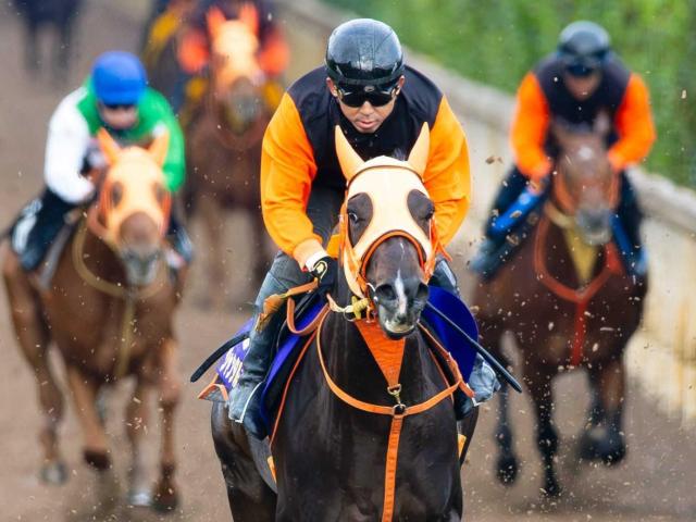 ڥޥãӡۥ󥿥ޥ󥿥롡Ƥ˾βƺǥޥǣƤءĤ⼫֤Ϥֶ