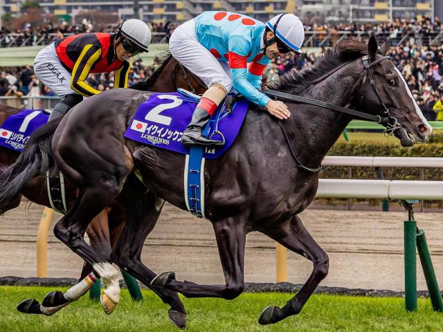 ɥХSCȤƱǯƤ˫޶200ɥ Υå23ǯѥC